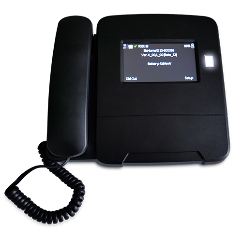 BLUEhome® Home-Based RF Receiver BLUEhome® Home-Based RF Receiver