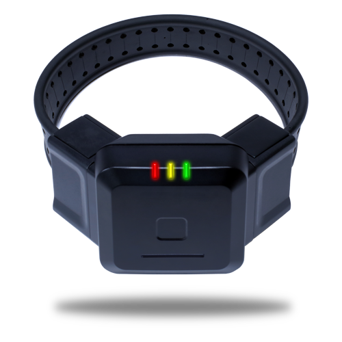 BLUtag-V8-Front—500×500 BLUtag® Advanced GPS tracking device from Securus Monitoring Solutions